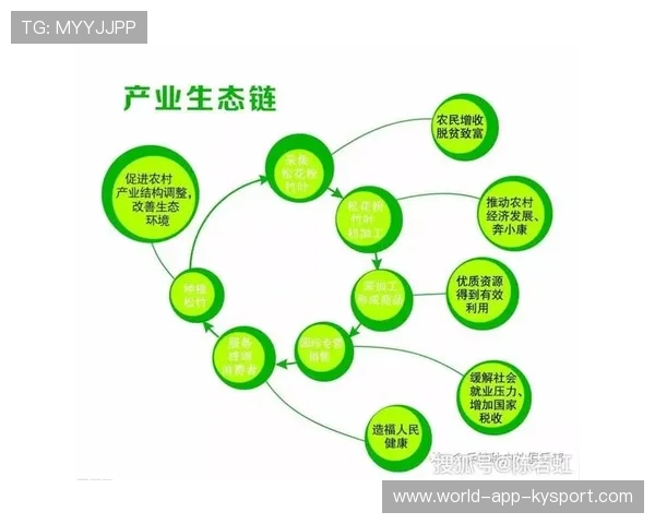 足球产业链是否已形成完整生态，足球产业发展